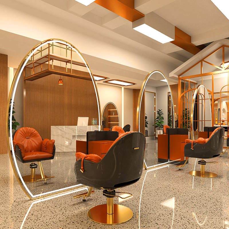 Salon Ellipse Large Stainless Steel / Aluminum Alloy Bright Led Lighted Salon Mirror Makeup Barber Mirror - WOSEN Mirror