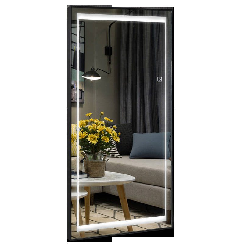 ctsxlmoqijk17033.jpg Aluminum Alloy Frame Wall Mounted Dressing Mirror Led With Light Household Full Body Mirror Clothing Store Floor Mirror - WOSEN Mirror