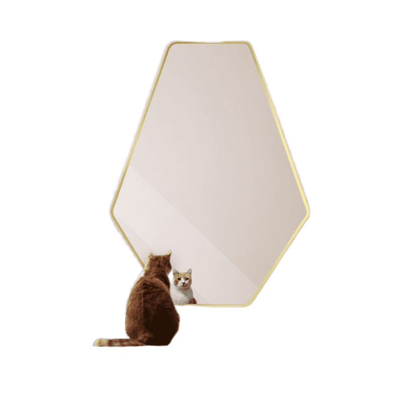 Decor Wall Mirror Edging Framed Bathroom Dressing Mirror Make up Vanity Set with Mirror - WOSEN Mirror