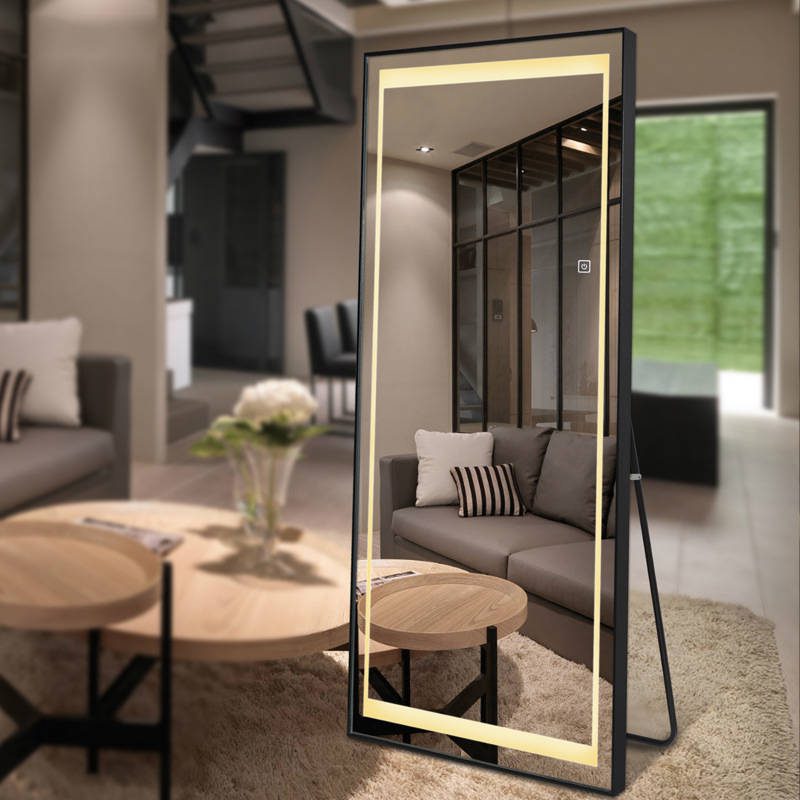 tcuggb5314c17032.jpg Aluminum Alloy Frame Wall Mounted Dressing Mirror Led With Light Household Full Body Mirror Clothing Store Floor Mirror - WOSEN Mirror