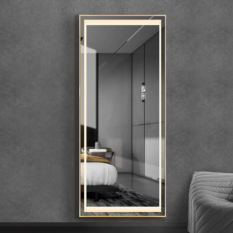 yschoglhcgf17030.jpg Aluminum Alloy Frame Wall Mounted Dressing Mirror Led With Light Household Full Body Mirror Clothing Store Floor Mirror - WOSEN Mirror